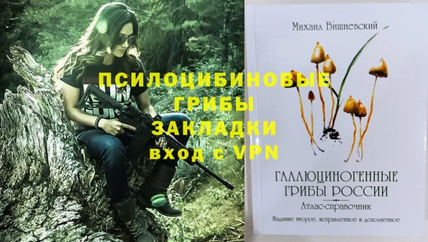 COCAINE Абаза