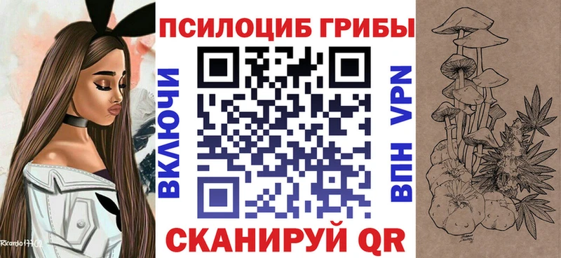 Псилоцибиновые грибы GOLDEN TEACHER  наркошоп  Жердевка 